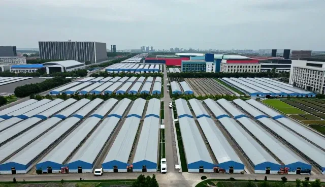 流通管理在电商代运营中的实际应用与优化路径